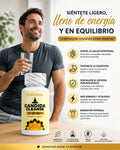 CANDIDA CLEANSE original