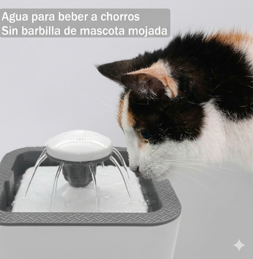 Fuente De Agua Para Mascota 1.6 L